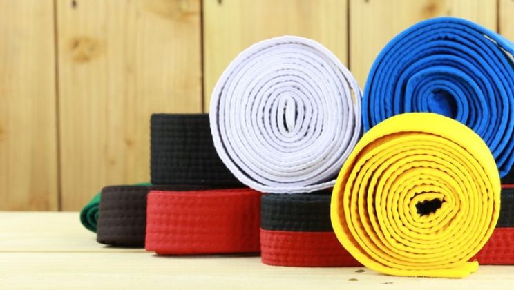 The Characteristics of a Good Martial Arts Coach